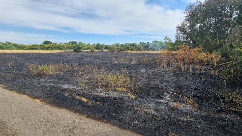 A grassland fire in Briar Hill, Northampton