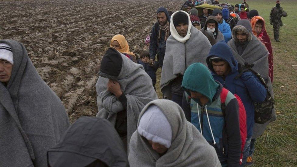 Migrants walk through a field in Slovenia