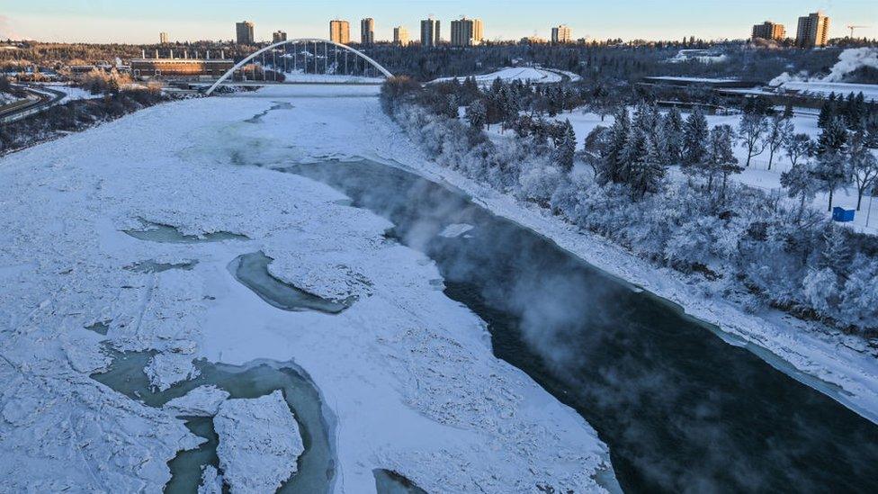 Frozen bushes and trees lining the Saskatchewan River, on January 13, 2024, in Edmonton, Alberta, Canada. Edmonton battles historic cold as temperatures plunge to -45.9°C, breaking records and pushing Alberta's energy grid to the brink.