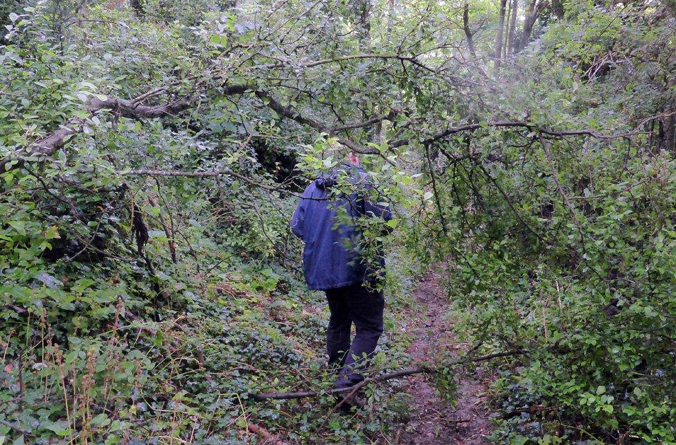 Man walking through overgrowth