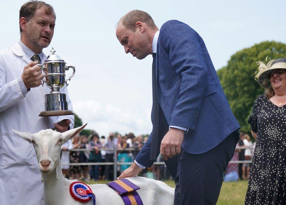 Prince William presents an award for champion goat