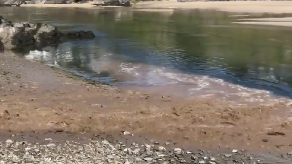 Sewage flowing into the Gannel Estuary