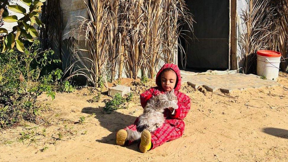 23-month-old Noah playing with a cat at their makeshift camp