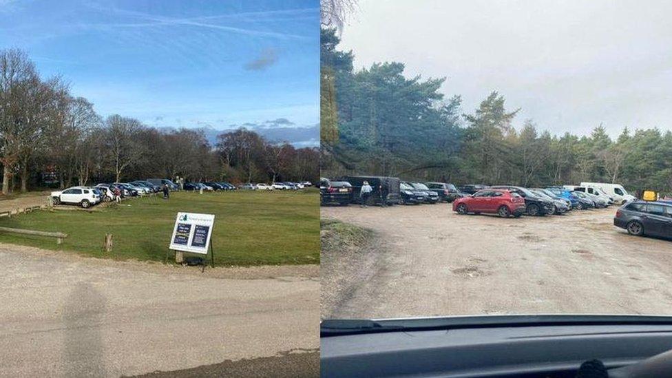 New Forest car parks