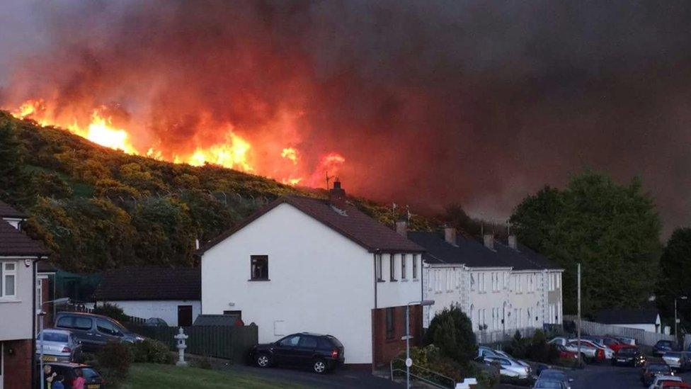 The gorse fire in Newry