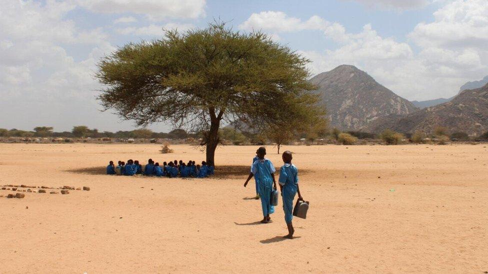 People walking to tree in Marsabit, Kenya