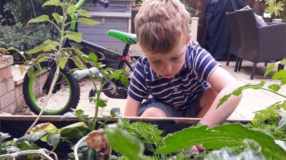 Charlotte hopes her son will eat more fruit and vegetables if he grows them himself