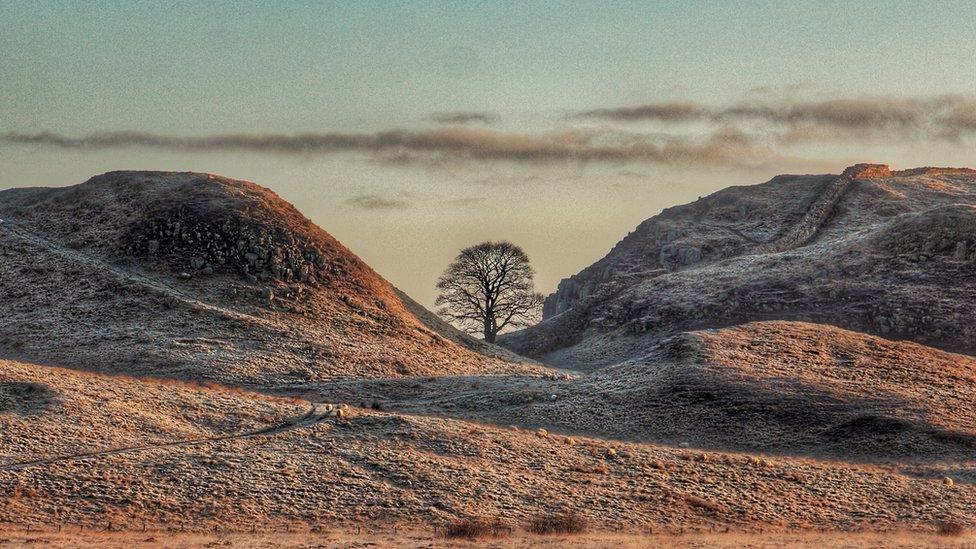 Sycamore Gap