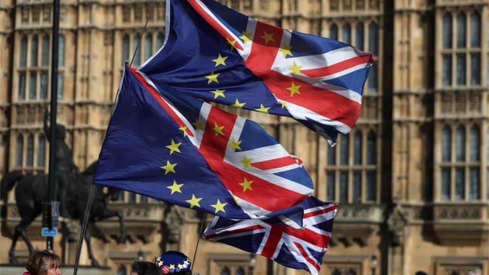 EU and UK flags outside Parliament