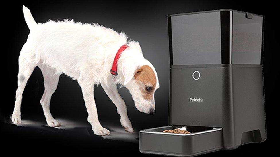 Pets left hungry as smart feeder breaks BBC News