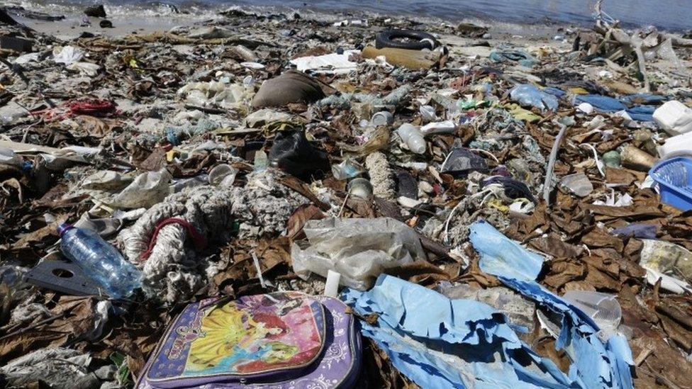 A carpet of rubbish lines a shore of the Guanabara Bay, in Rio de Janeiro (01 August 2016)