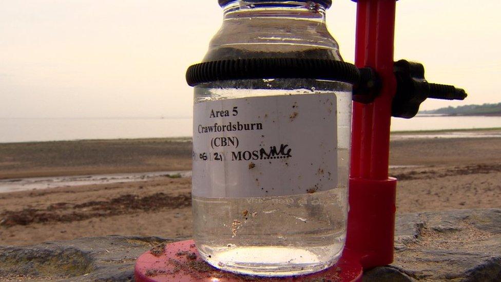 A water sample taken at Crawfordsburn in County Down