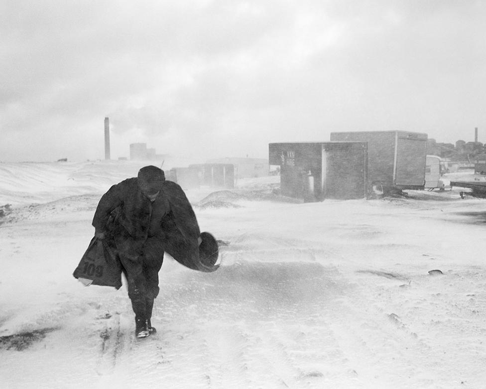 Cookie in the snow, Seacoal Camp, Lynemouth, Northumbria, 1984