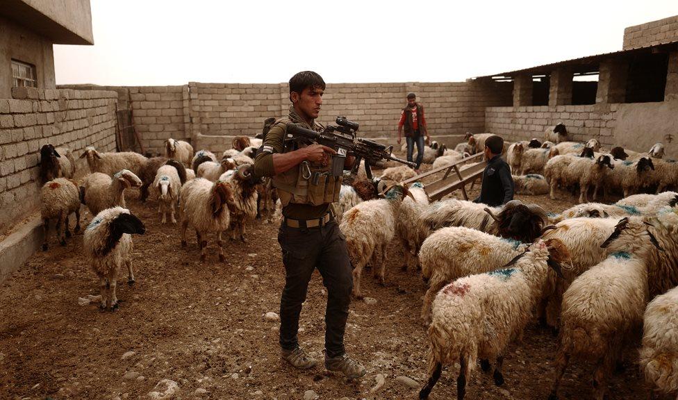 Iraqi security forces search for IS militants and positions after fighting their way into an eastern district of Mosul (1 November 2016)