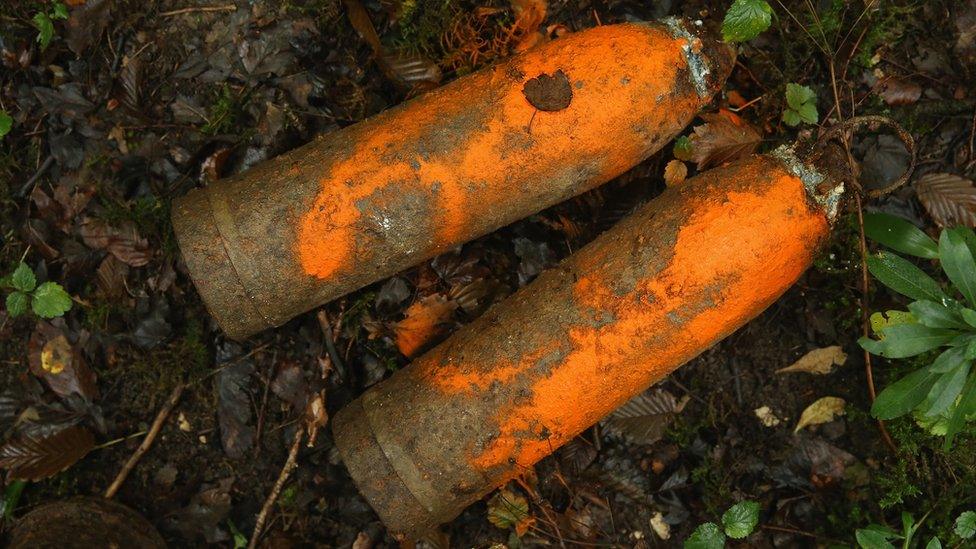 German 105mm artillery shells dating from World War I that were never fired and marked with orange paint by a forest services worker lie in Bois Azoule forest on August 27, 2014 near Verdun, France.