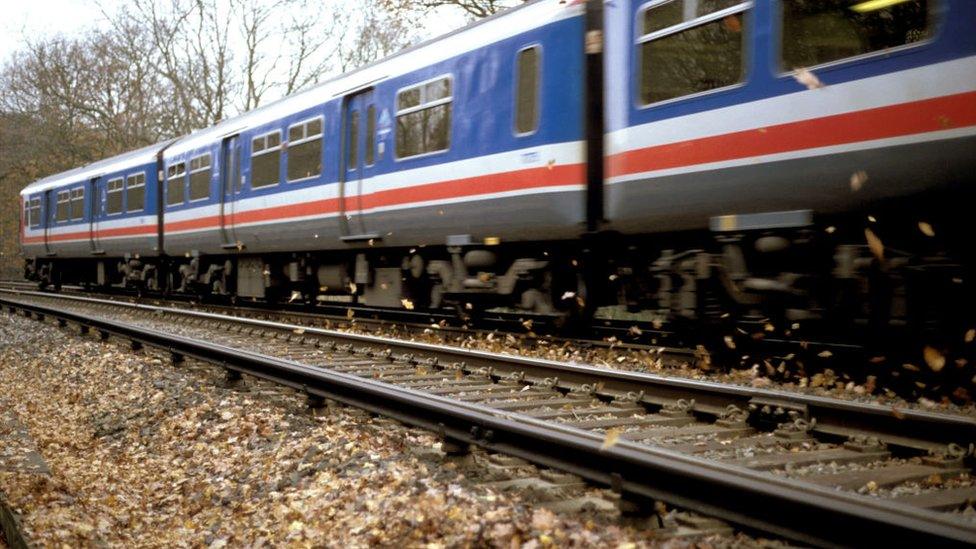 Train goes over leaves on the track