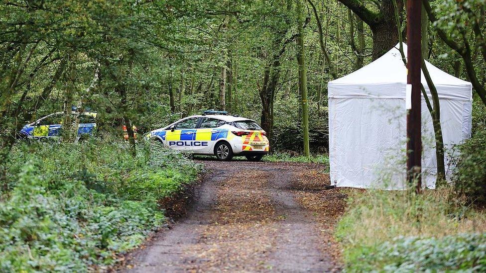 Police cars and a tent in woodland