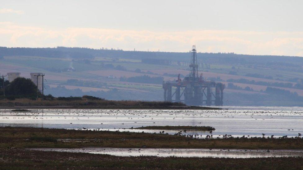 Cromarty Firth rig