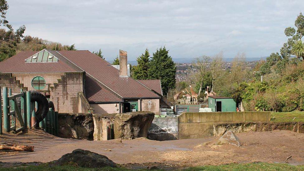 Belfast Zoo sign