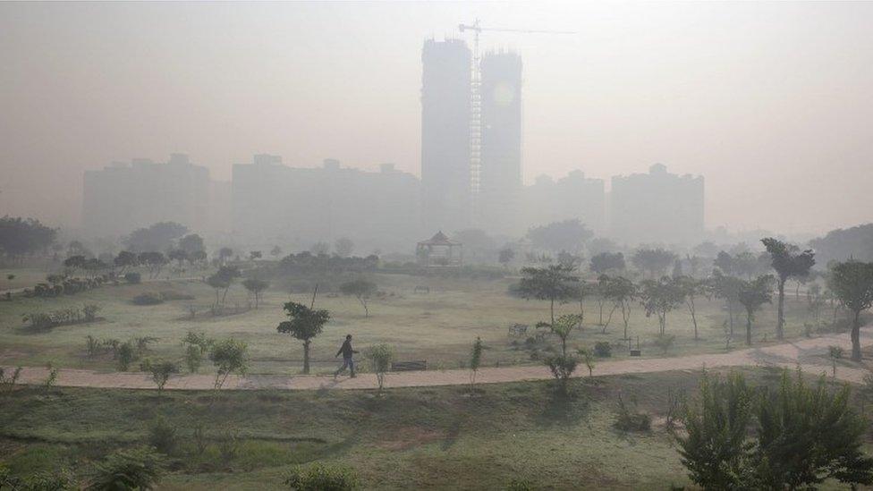 Indian man takes a morning walk in a public garden surrounded by the smog in the outskirts of Delhi, India 20 November 2015.