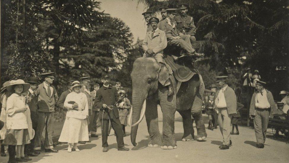 Rajar elephant and soldiers during WWI