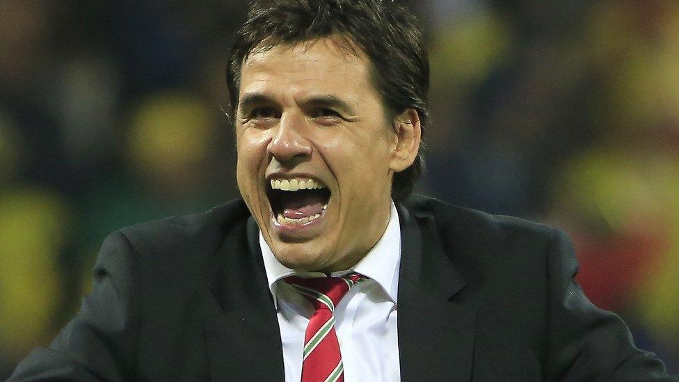 Wales manager Chris Coleman