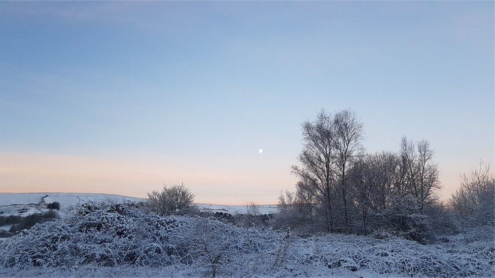 Lleuad, eira a choed yn y Cymoedd