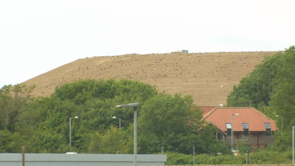 Waste site