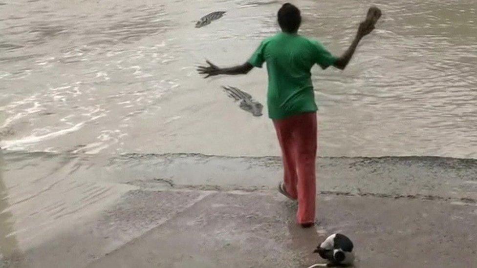 Woman, dog and crocodile