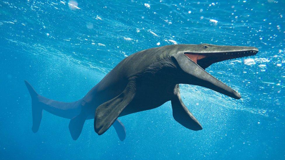 An artistic interpretation of the Basilosaurus.