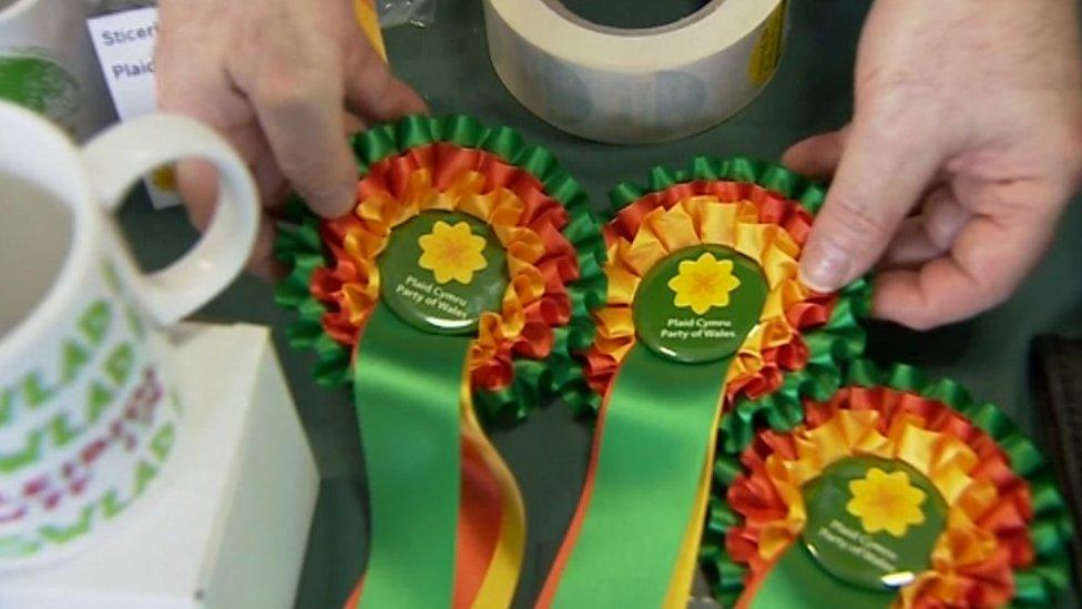 Plaid Cymru rosettes on display at its 2017 Spring conference