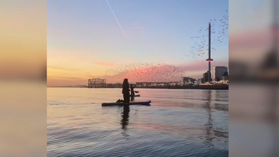 Paddleboarders off the coast with Brighton in the background