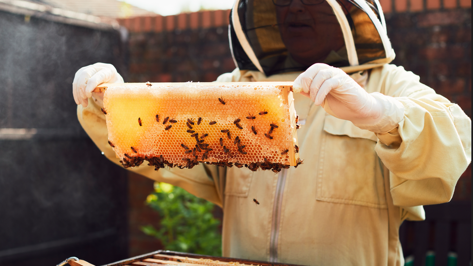 Beekeeper with honeycomb and beehive