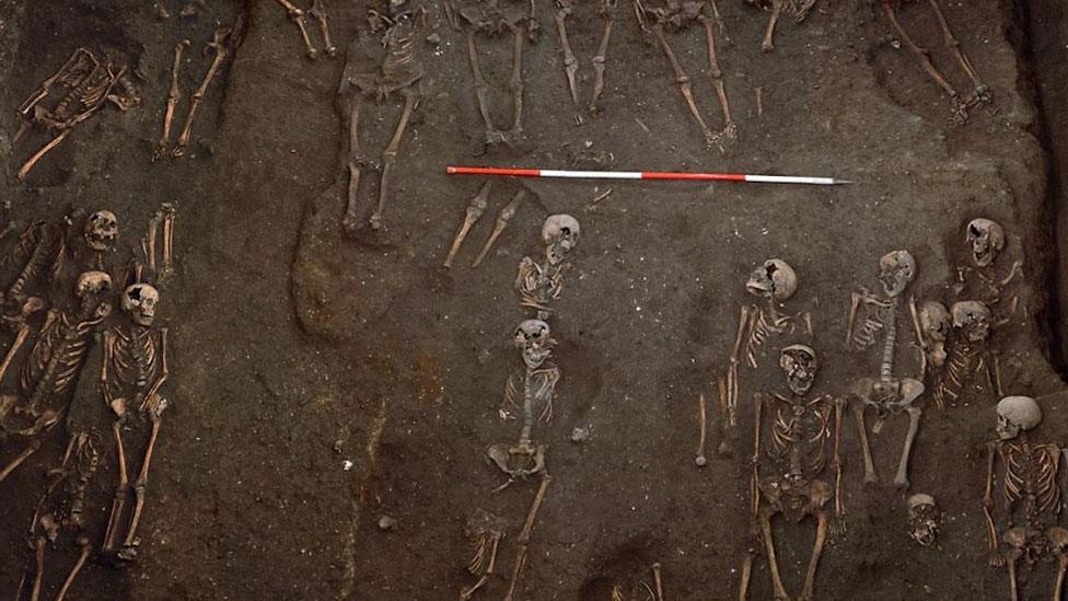 The remains of numerous individuals unearthed on the former site of the Hospital of St. John the Evangelist, taken during the 2010 excavation.