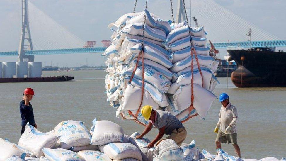 Workers unloading goods at a Chinese port