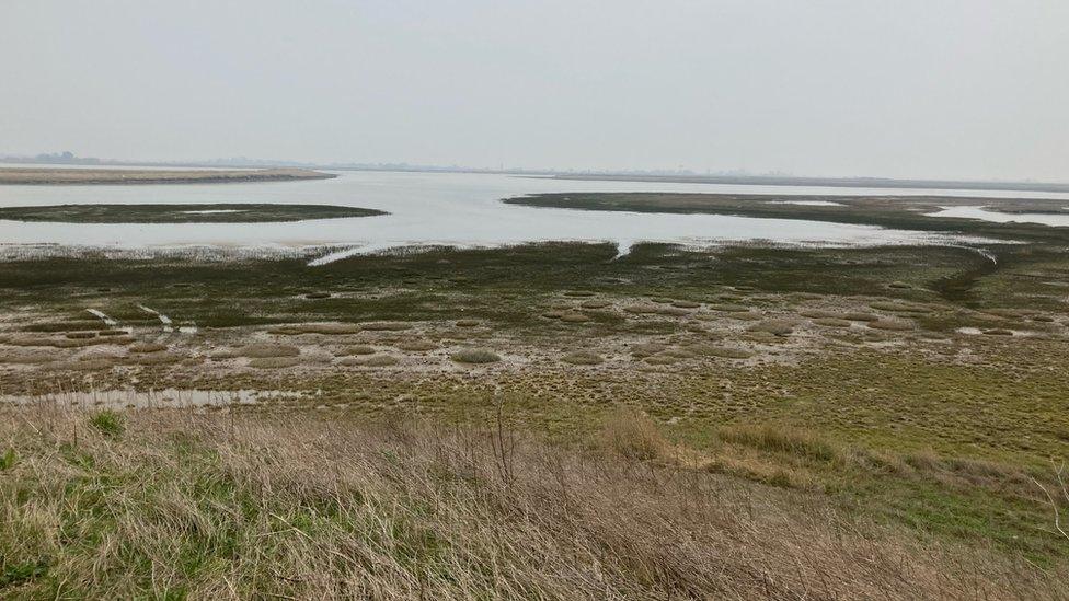 RSPB Wallasea landscape