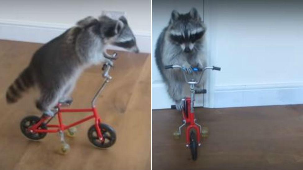 Melanie cycling in her playroom at home