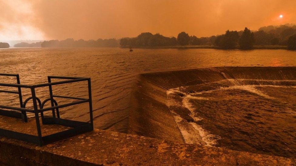 Smoke rises above the Tera river during a wildfire in Pumarejo de Tera near Zamora.