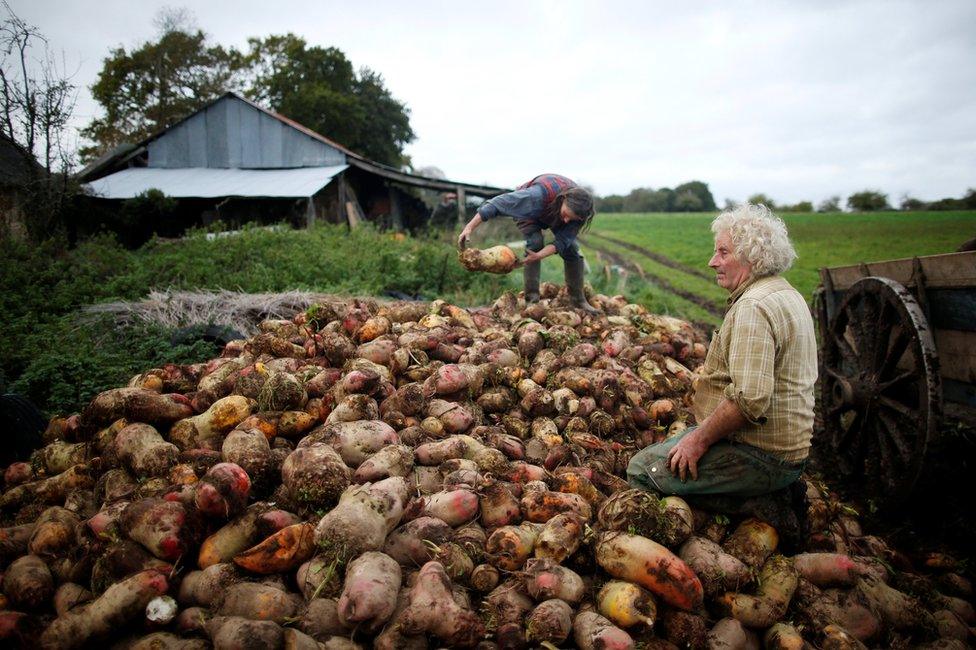 Jean-Bernard and Laurence standing on a pile of vegetables