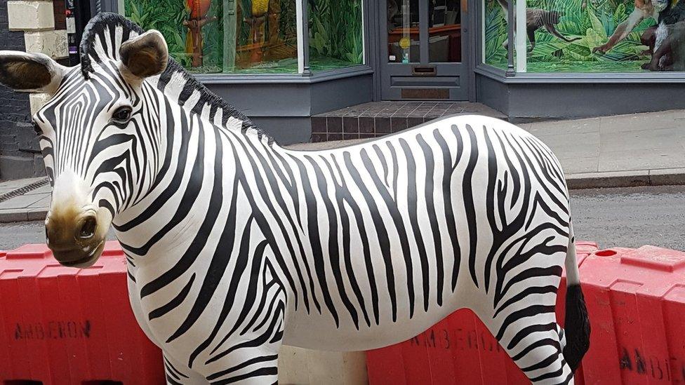 A fibre glass zebra along the road