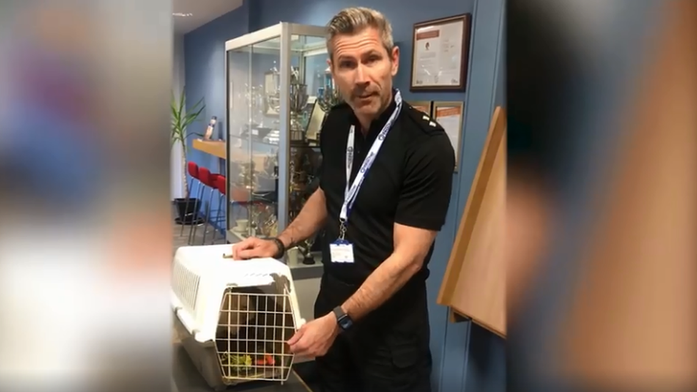 Insp Marcus Oldroyd with the rabbit