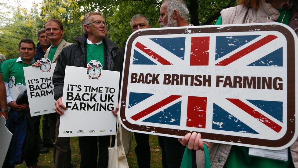 Farmers in Brussels