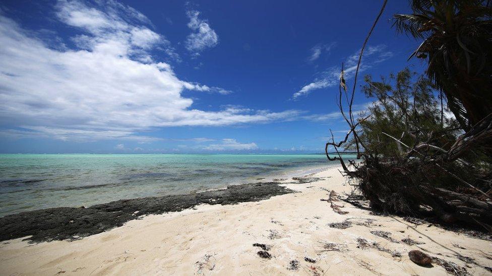 A picture of a beach in the Bahamas