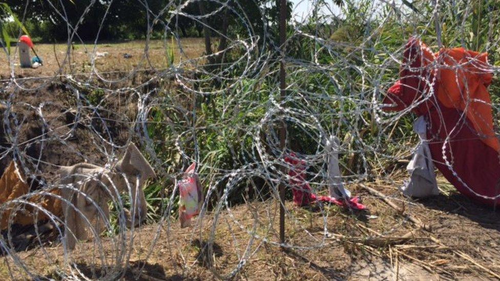 The wire fence on Hungary's border 24 August 2015