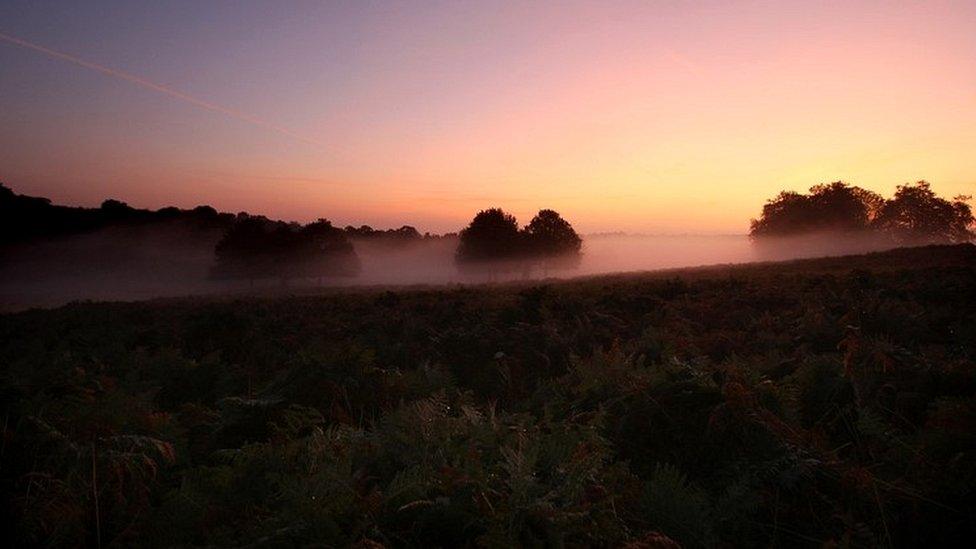 Richmond Park