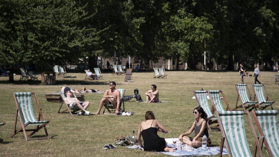 Sunbathers in a park