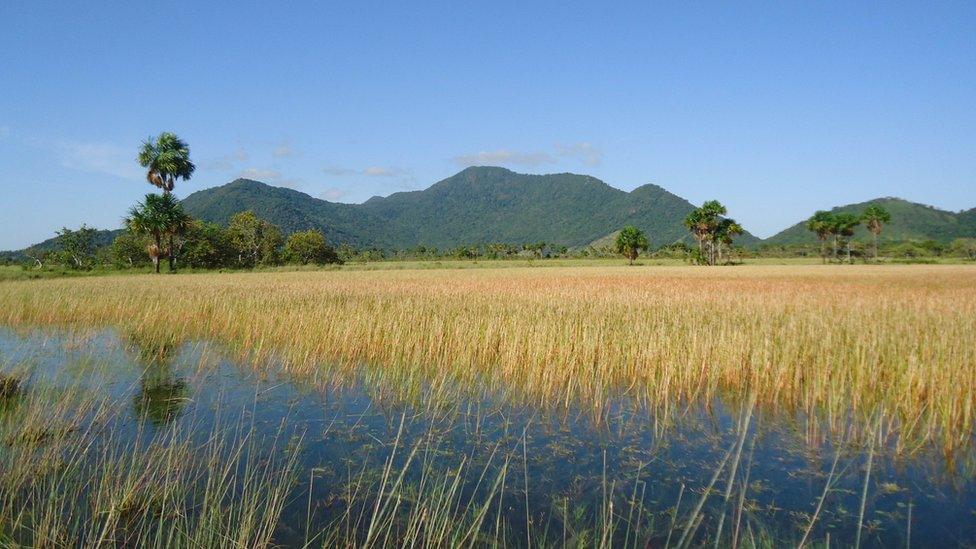 Panoramic picture of Kanashen’s wetlands