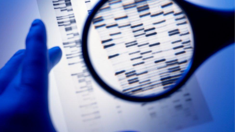 A person looking at DNA markers with a magnifying glass.