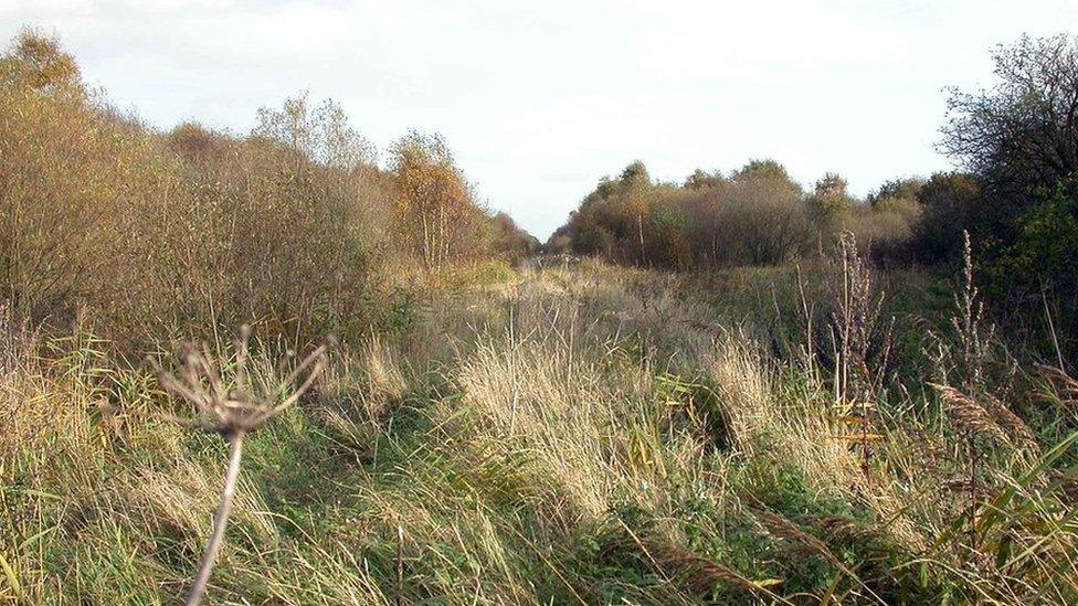 Misson Carr nature reserve