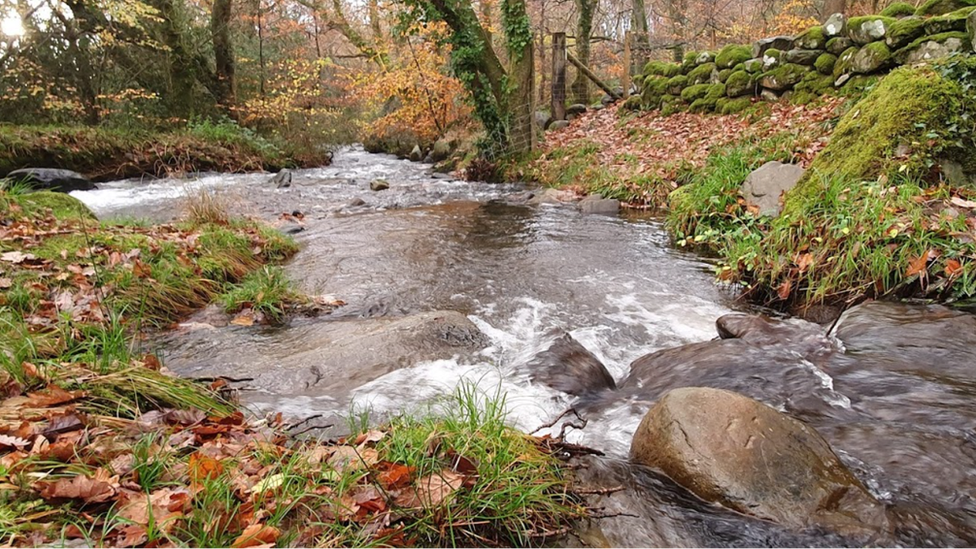 Afon Ysgethin running through woodland